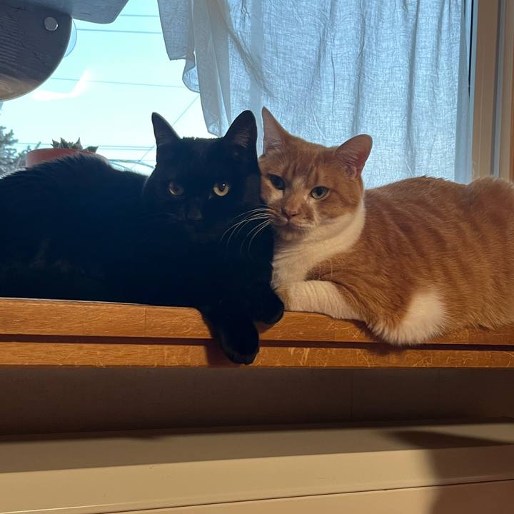 Fc935eae fb4e 450d 9a43 b06041132cfb 1767250240247