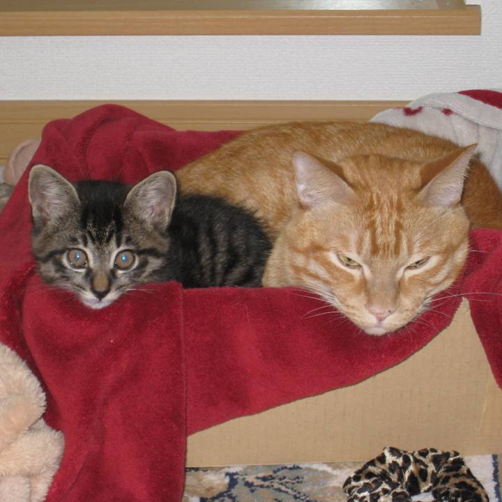 Fc938457 ef14 4d54 8c8c 8e5bc9552c93 1552696946009