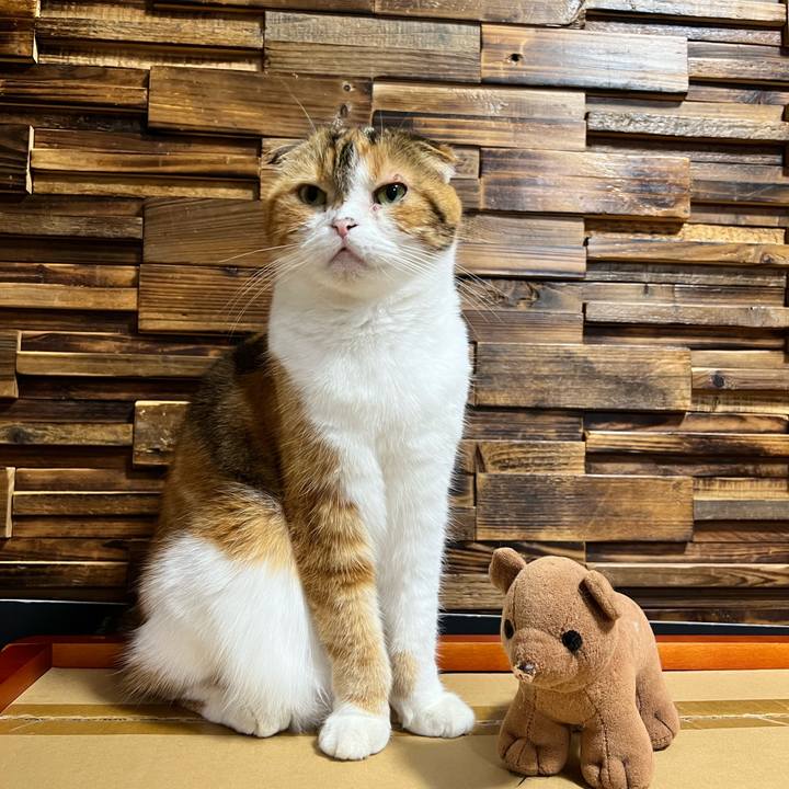 Fc93ce47 4d35 4797 8fc5 28a5a5ff2375 1687347141720