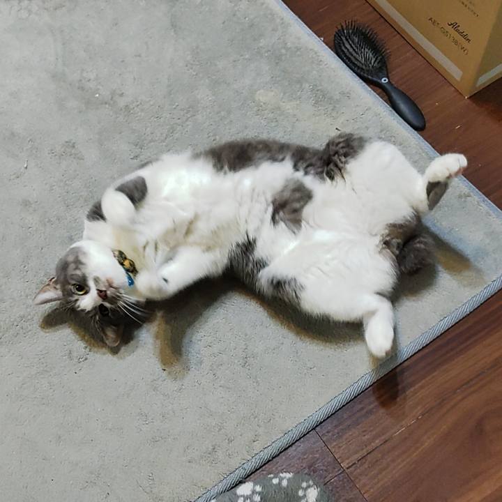 Fc93ef66 b394 41cd a69e b8b9b66d75bb 1709302656748