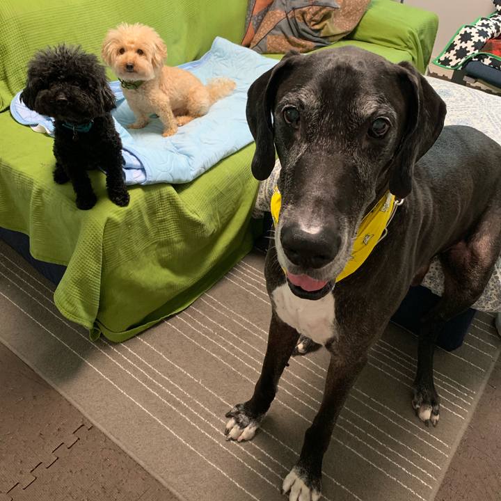 Fc941e6f 1cf6 4420 afc0 eb93906cda91 1563921859556