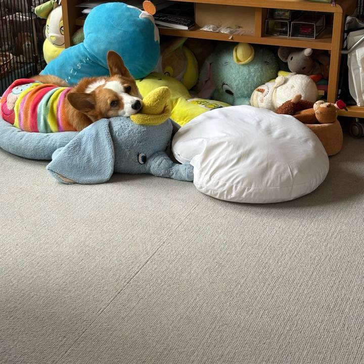 Fc9462ad f88b 4151 a395 e4dae28e4442 1773104813810