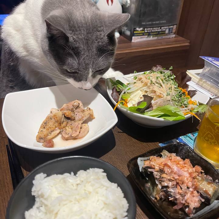 Fc9464ed d6fd 4671 a88b 1f57dc353171 1719663501822