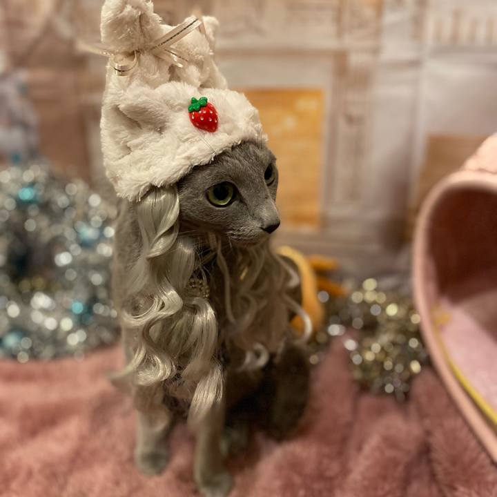 Fc9465f2 9017 4197 b1d4 c696a99deb9c 1702697760959