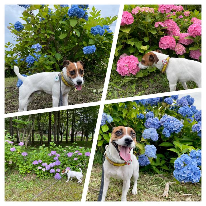 Fc949ddc f57c 4423 b4ff 9d0bfb519c5f 1657968770791