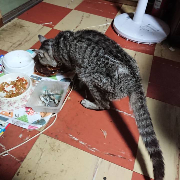 Fc950591 49bc 446d 93c5 aff3e38f791a 1592767298867