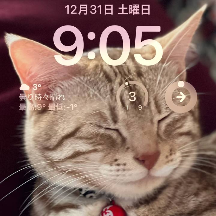 Fc953e53 eccd 4a34 9bc0 73b4a04f785e 1672445238393