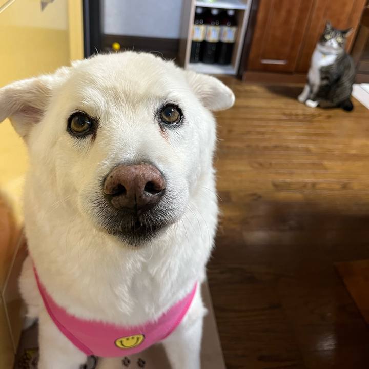 Fc956435 ee75 4da9 aee9 bc09f7dd2809 1761537156257