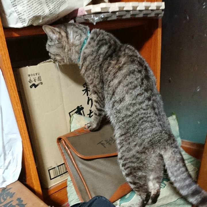 Fc95676c 334b 4baa 8aac 0daa275e8fec 1551777284754