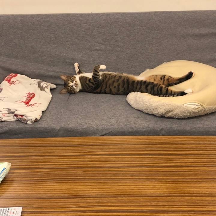 Fc95b3ef 12f7 4dc3 b20b a7dc1ae419b8 1638962182936