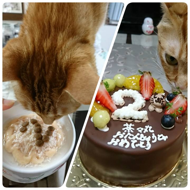 Fc95e403 a2ed 4123 895e 701ecab8fa93 1527851986138