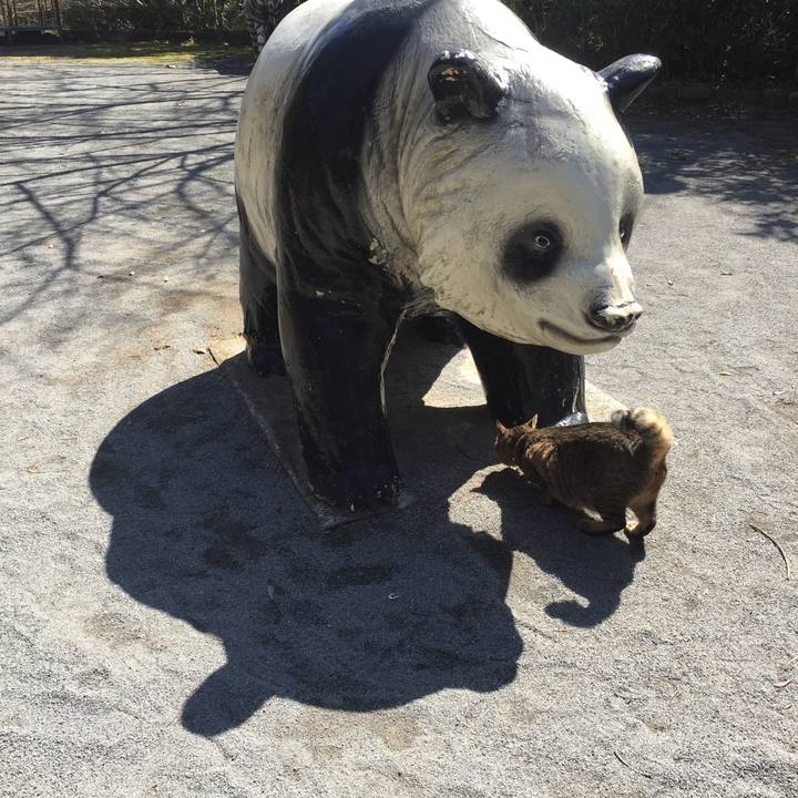 Fc95f468 64e3 4660 9beb fbd1ede57f0f 1521350178372