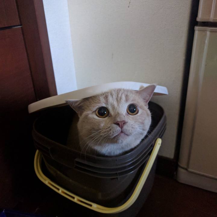 Fc960b54 d00a 4b9d ba76 f00563075788 1533340137070