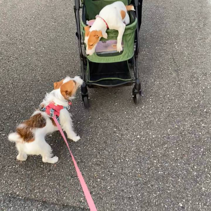 Fc964ea1 9cfa 4365 a213 708c9bba91b4 1695678698340