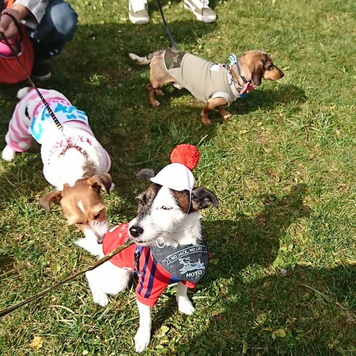 Fc966075 8053 4207 b965 be5c1ef8e8f3 1541978255052