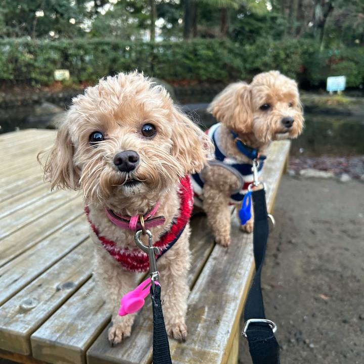 Fc966de9 13b8 44e8 a110 8feeb601b8b0 1705837818403