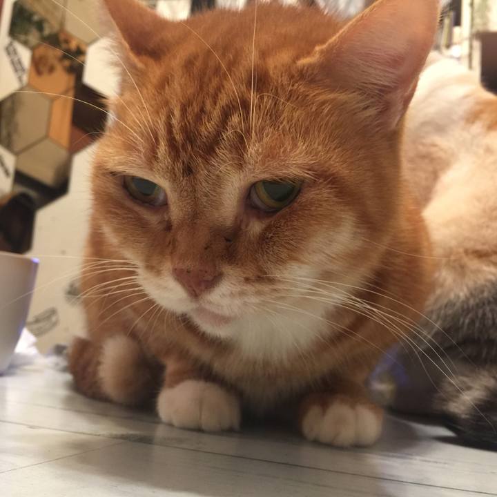 Fc967810 0b85 40d2 a84d bab5700f954a 1572007825544