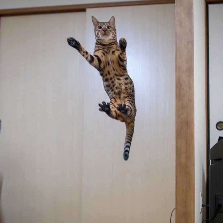 Fc967870 4ffc 4945 b2ce f5636806a9dd 1517842693651