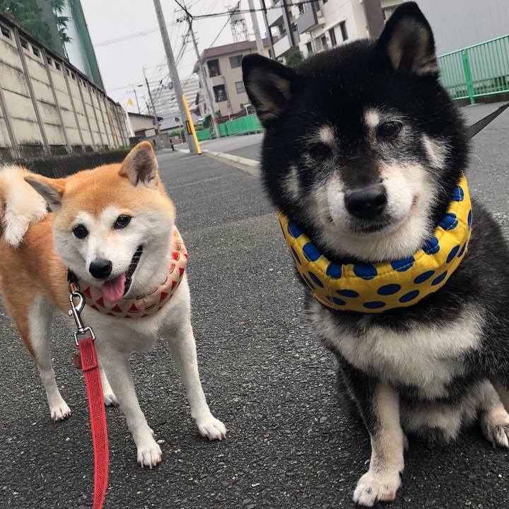 Fc9680ad fefb 41f3 8aec 7c8b9811a4ba 1596842065986