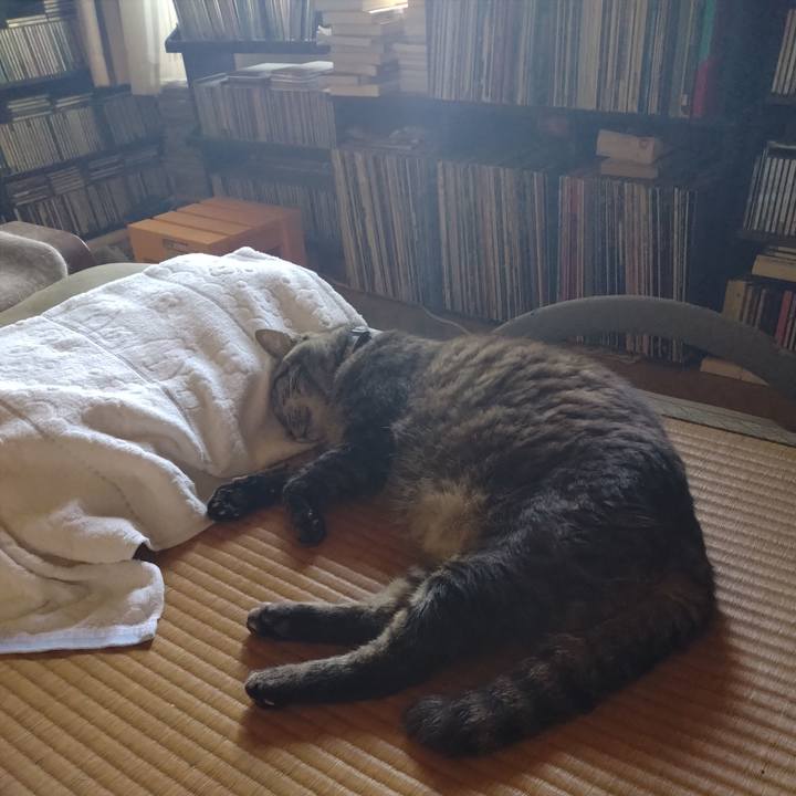 Fc96b96d ee26 4c43 9556 036d1cfdc150 1753357270366