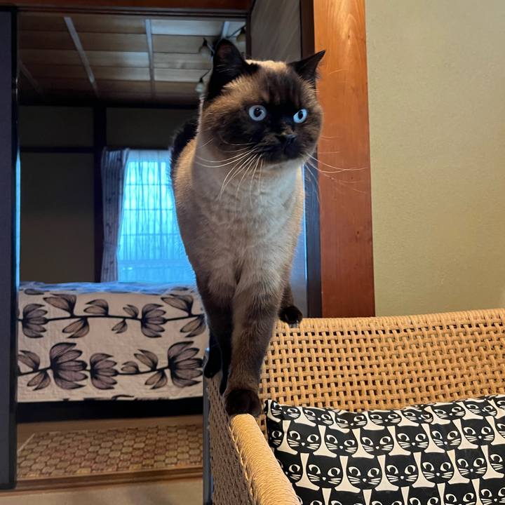 Fc96b980 93fb 4848 bf3d 6d5bcc52ef4d 1681818139033