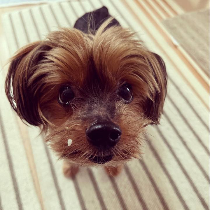 Fc96bb6b b255 419f 81ec 03ce6252f0bf 1655612271688