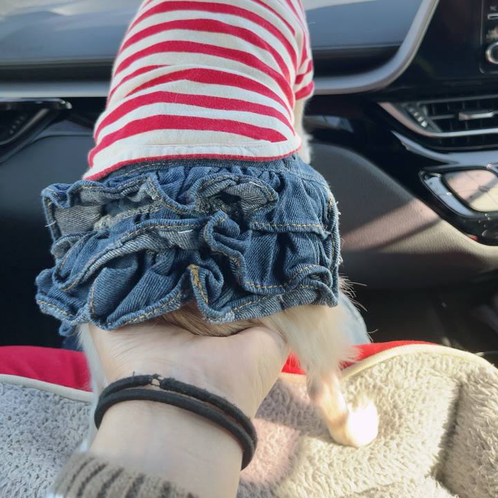 Fc96d1d0 78ad 4258 a9ce 7d2704bbd1e1 1730606618611