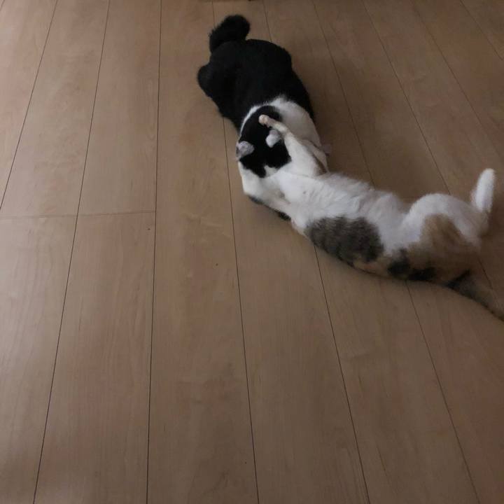 Fc96e0ea 571a 4ef6 a4db 8e74fc400ddf 1600185595229