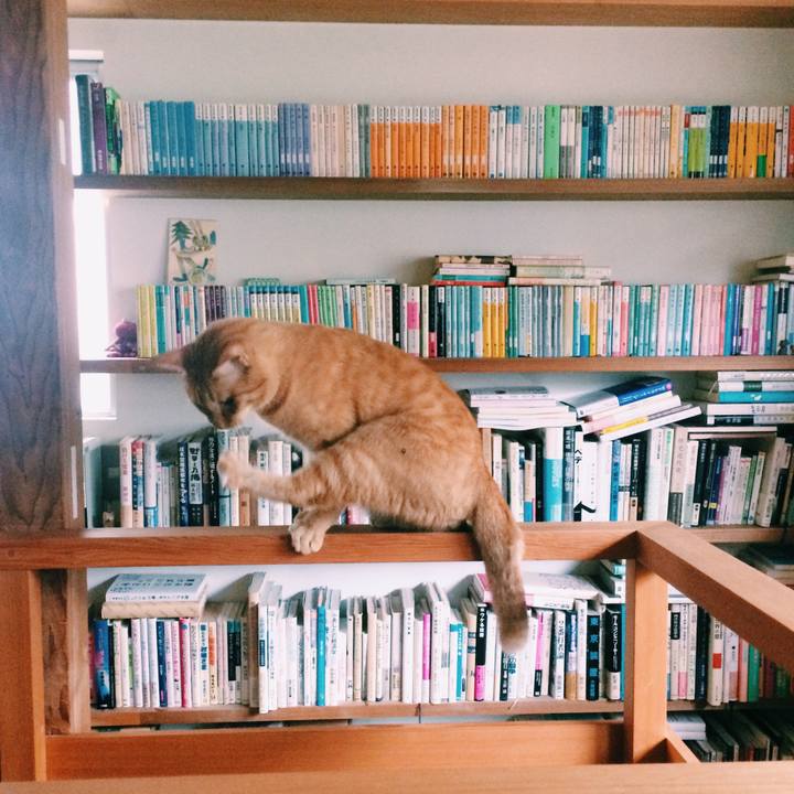 Fc96efc0 de61 4eee 832d 1b7bb8dd6861 1568332573118