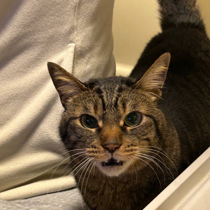 Fc96f2f9 54ce 4024 89ed 0df590ded722 1675165798030