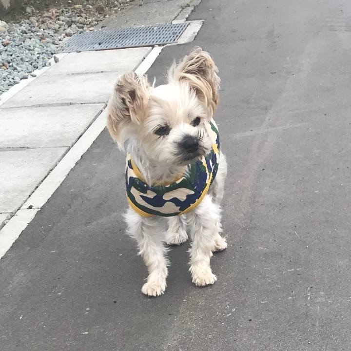 Fc971bee 3d62 4589 b57e 23fe579c8a71 1569400172999