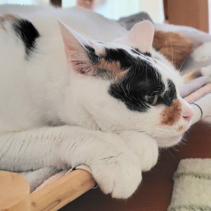 Fc972840 f75e 45ce acb6 3e2a9a679856 1771197216397