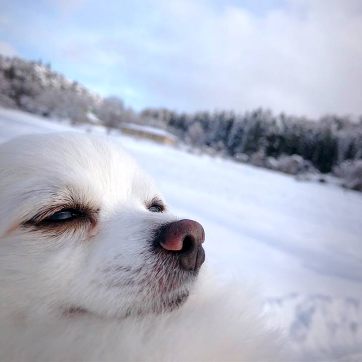 Fc979337 87a5 4f7f b753 4c05ec6a04f4 1608124651313