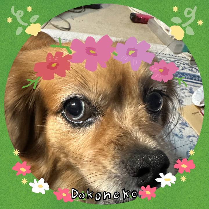 Fc97abe6 9893 407a 9435 1ce22932e029 1727385152849