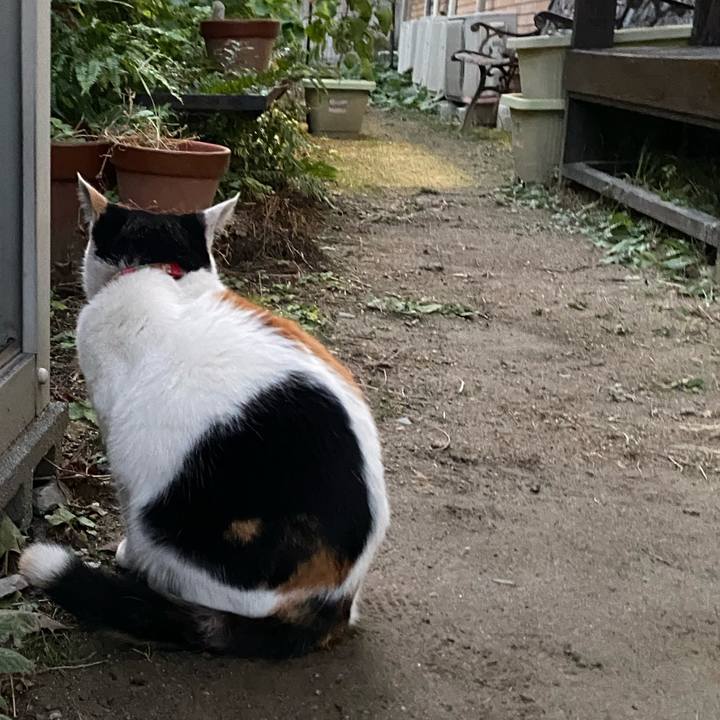 Fc97b261 5554 4ab3 bc31 d66c50f172b8 1639314275993