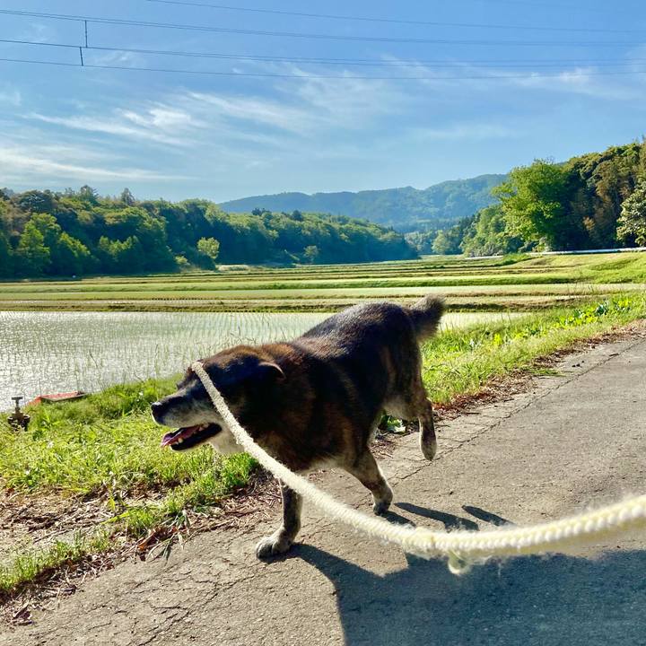 Fc97d1dd 5ba8 45db a1bc 92265ba45182 1652870250084