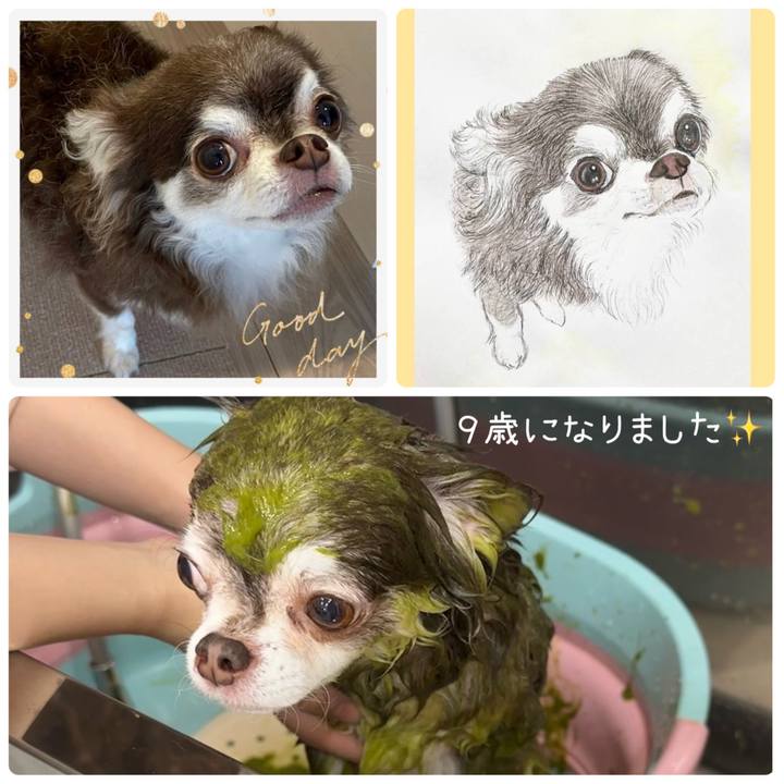 Fc97d721 994b 49c5 9be6 b7221eff7f25 1689473423956