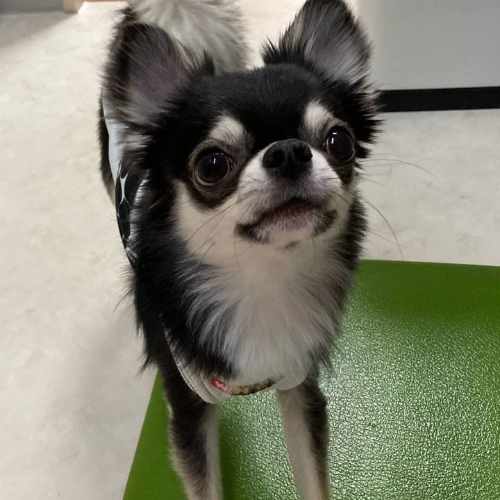 Fc97eb2e 5da5 43fb a677 2b24213a5622 1620135295160