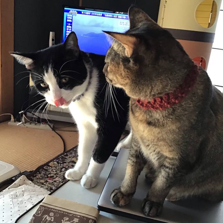 Fc9811a9 2a71 4b70 8743 1e677a9931ff 1639020460622