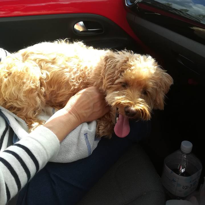 Fc98199d 9399 40f6 bd09 f49bc3c5a6b5 1539400810759