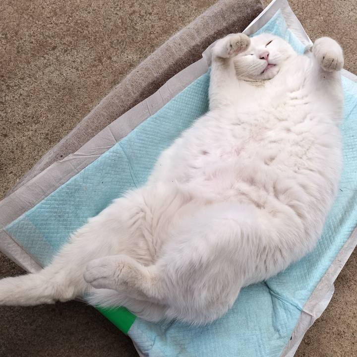 Fc98cb4e 3fc0 49df aa12 05436e050ed4 1767429427238