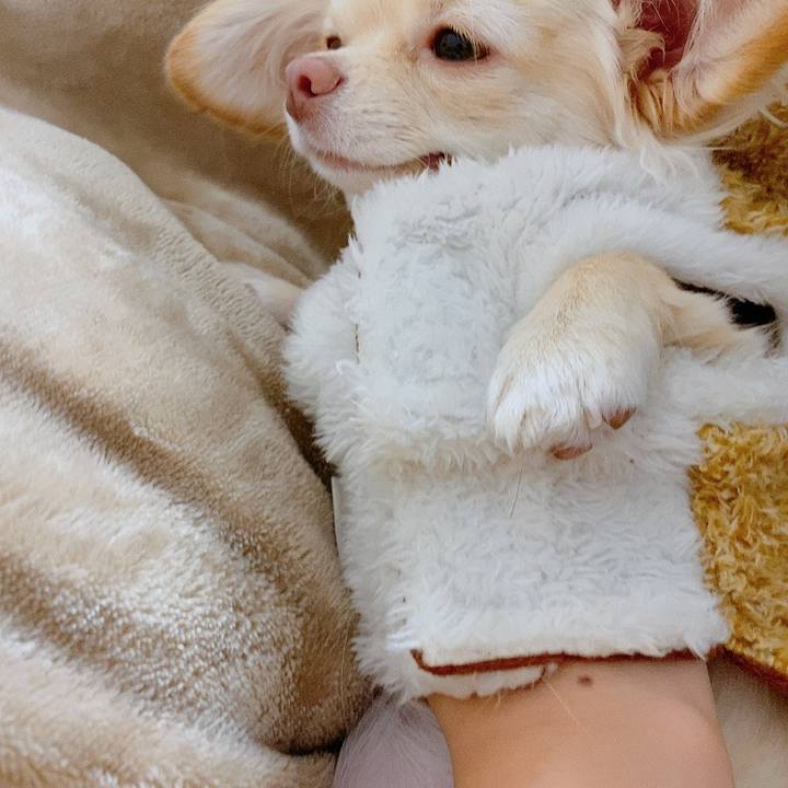 Fc98f6e3 9792 4dff abaa db8d8c7fead8 1609565755663