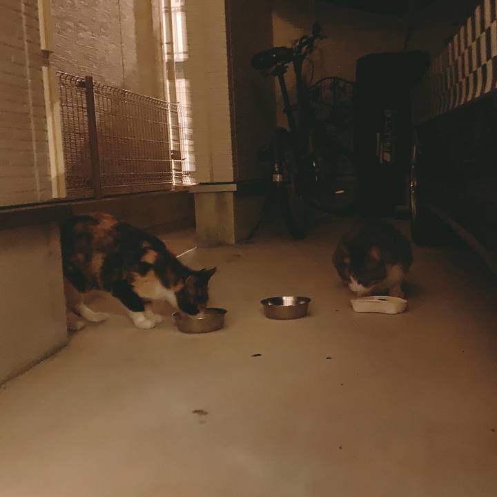 Fc991eec 88e6 486d a116 c030dc551a20 1559920874182