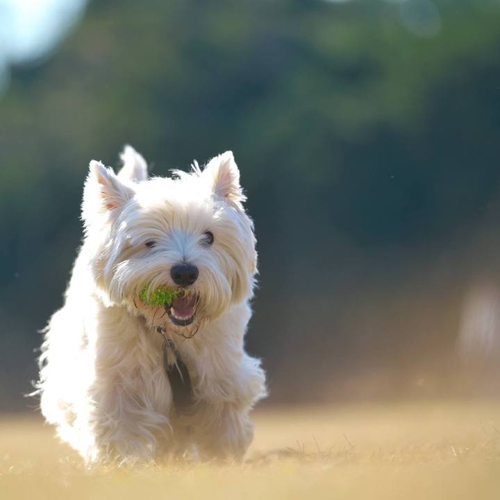 Fc99549d 884f 44d7 8b40 262912abc504 1512307157496