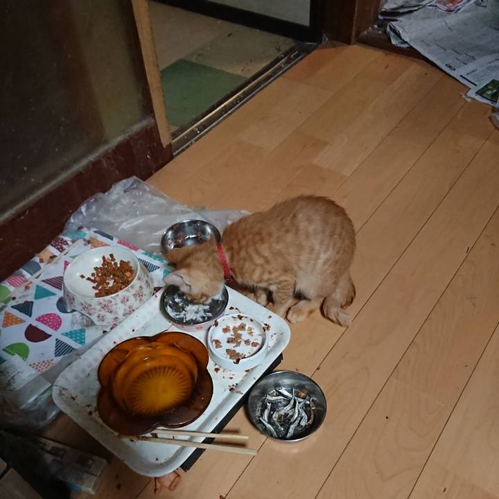 Fc99796d 881c 4042 81e8 bf1d998b5941 1632909023998