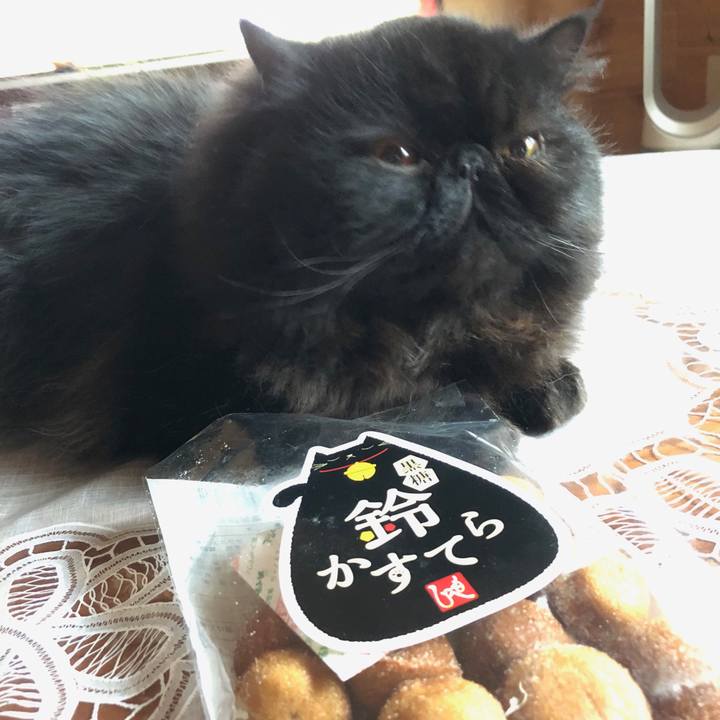 Fc99a569 e1f6 46c7 b26c d912c53b6a2e 1542522119882