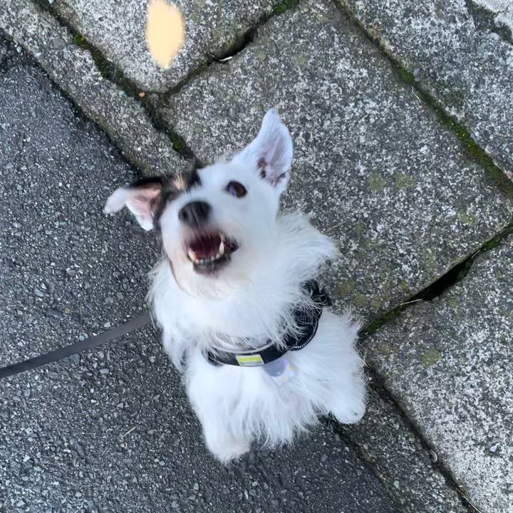 Fc99c1b8 c885 4db8 bcb5 5de05b5a728b 1692226062686