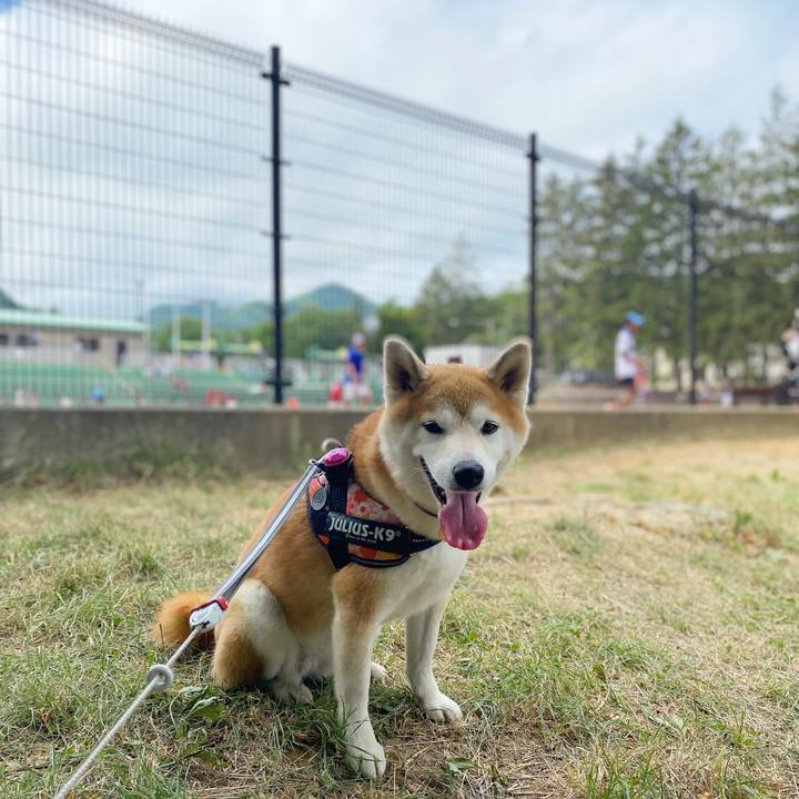 Fc99ce17 5def 43c8 b690 5aef65487dab 1627524976986