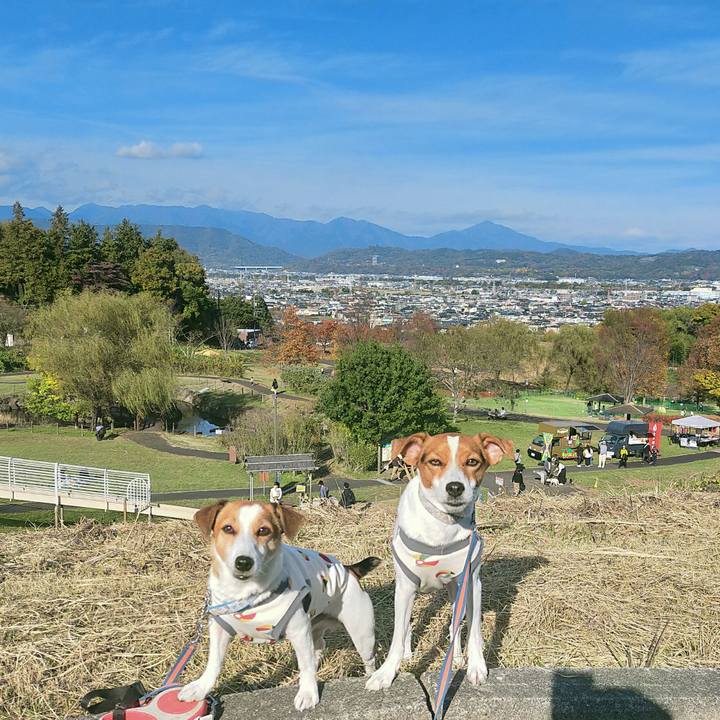 Fc9a0246 5c18 477d acd0 db19f88e18dd 1763890301401