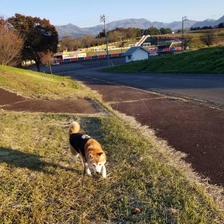 Fc9a0c6d d730 42bd 9abf b7fdb481ad6f 1731049051745